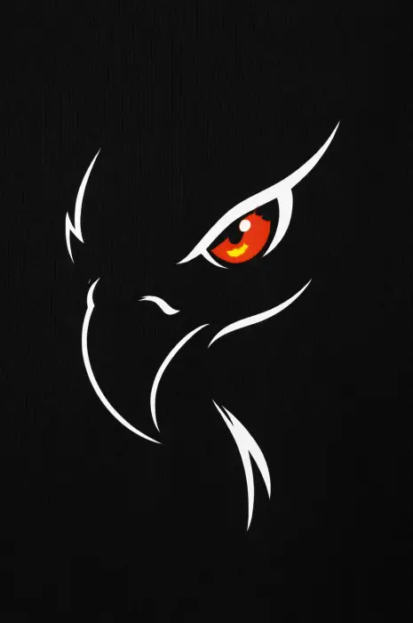 FOXEN Premium Black DVR T-Shirt - Image 5